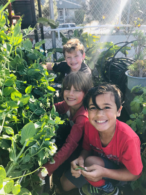 Three young kids in a garden next to a trellis of growing snow peas.