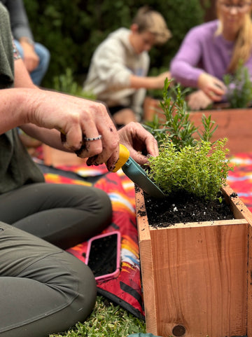 Growing Herbs - Cliff Notes from Class Two of the