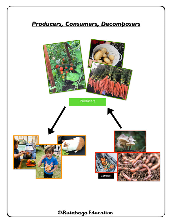 A photo of a page within a book that shows a diagram about the connections between producers, consumers, and decomposers.