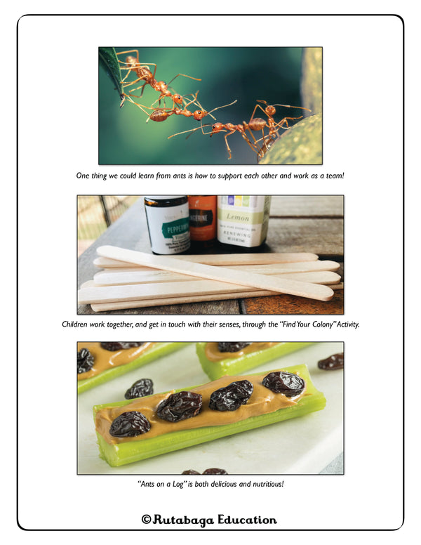 Images take from the book that show a line of ants, popsicle sticks and essential oils for an activity, and the snack of a celery stick with peanut butter and raisins.