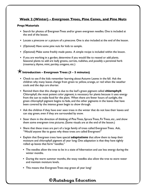 A page that shows the organization of the lessons. This particular lesson is about Evergreen Trees, Pine Cones, and Pine Nuts.