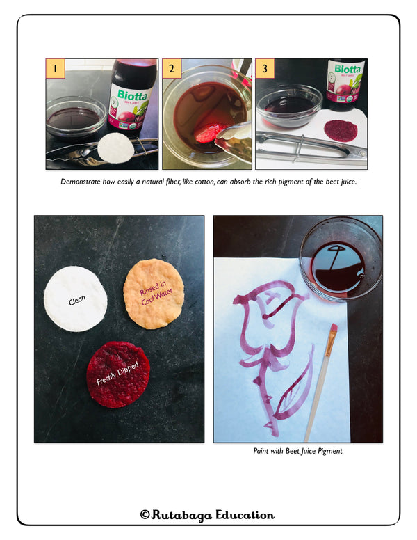 A photo showing how you can paint a picture using beet juice.