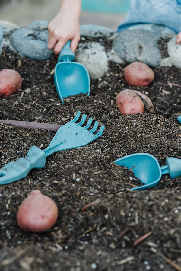 Rutabaga Garden Tools in a garden bed that also had potatoes.