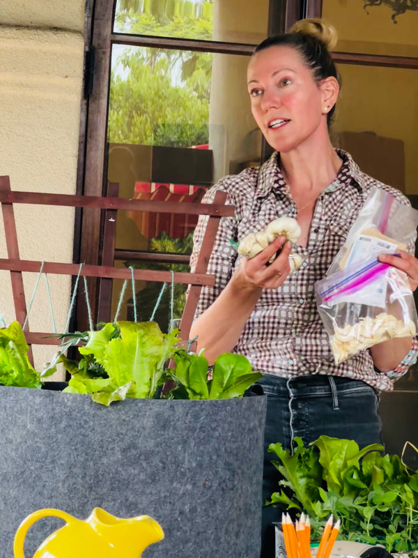 Spring Garden Classes - Thursdays