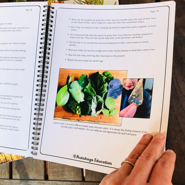 A page inside the books that shows different types of a leaves.