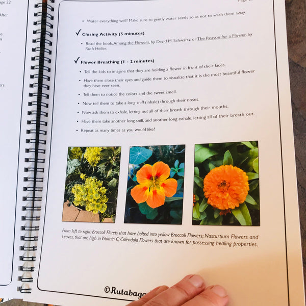 A picture of a page within the book that shows three different flowers you can encounter in the garden; broccoli flowers, nasturtium flowers, and a marigold flower.
