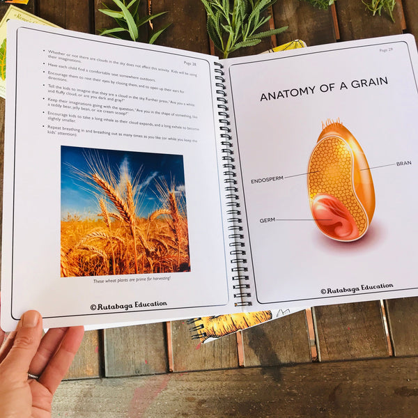 A photo of a page within a book that shows images associated eating whole grains (one is a field of grains growing and one is a diagram showing the "Anatomy of a Grain."