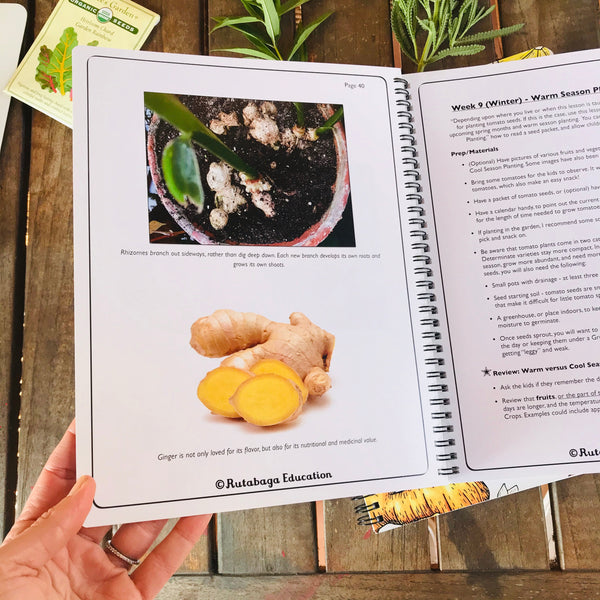 A photo of a page within the book about a lesson that distinguishes between root and rhizome vegetables.