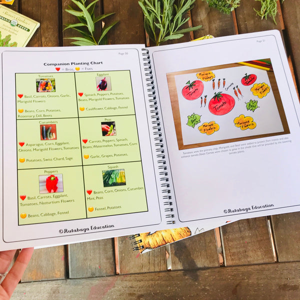 A photo of two pages in the book that show what to plant together in your garden when you are companion planting.