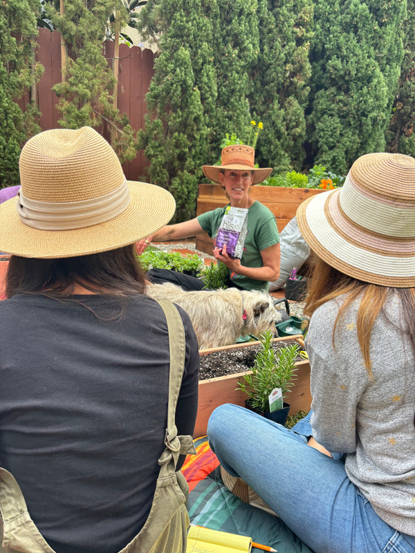 Spring Garden Classes - Thursdays