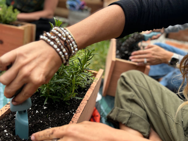 Spring Garden Classes - Thursdays
