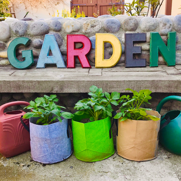 Fall Garden Classes - Thursdays