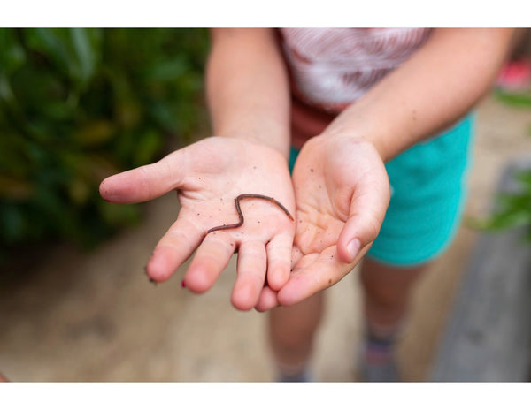 A girl with an earthworm in her hand.