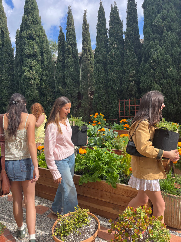 Spring Garden Classes - Thursdays