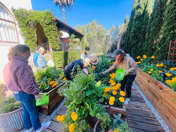 Spring Garden Classes - Thursdays