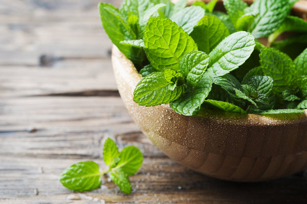 A close up shot of fresh mint leaves in a bowl.