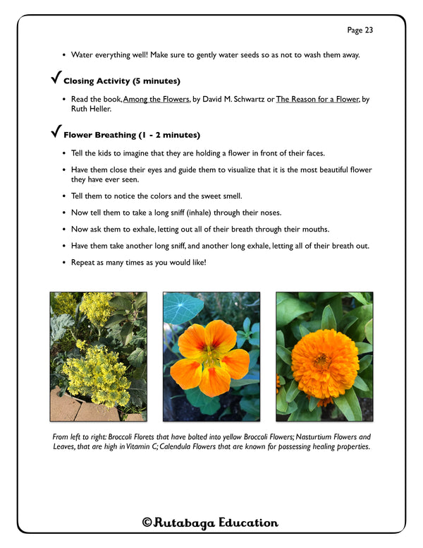 Some text and images of three different flowers you might find in a fruit and vegetable garden.