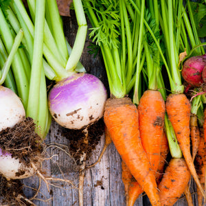 A picture of root vegetables that includes turnips, carrots, and radishes.