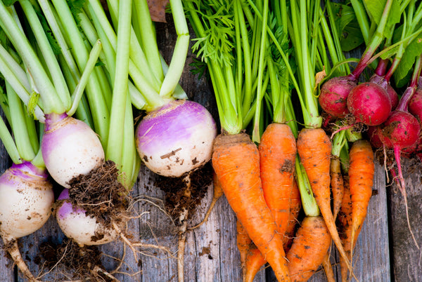 A picture of root vegetables that includes turnips, carrots, and radishes.