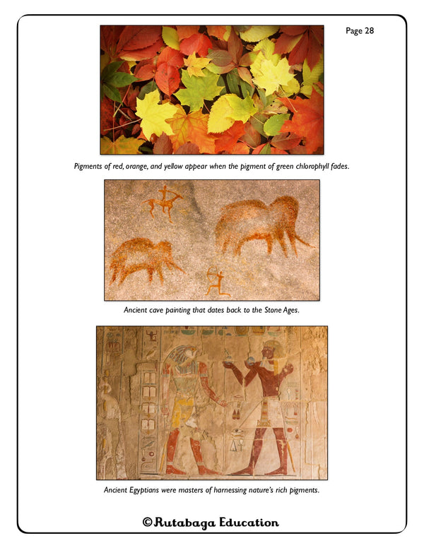 Images that show autumn leaves and then two photos that show ancient cave drawings.