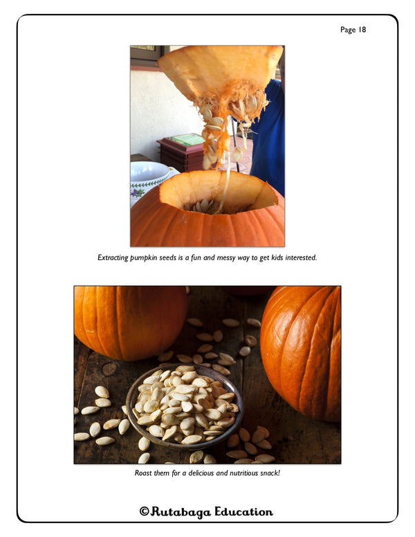 Two photos that show pumpkin and their seeds.