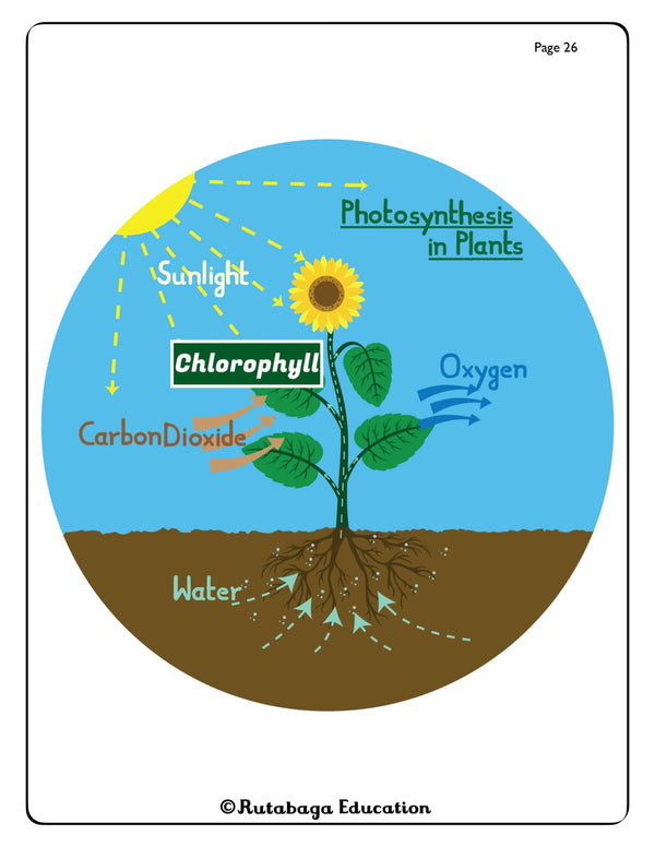 A photo of a page within a book that shows a diagram illustrating Photosynthesis in Plants.