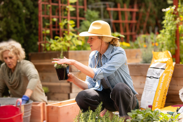 Fall Garden Classes - Thursdays