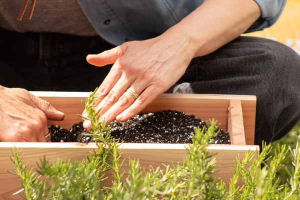 Fall Garden Classes - Thursdays