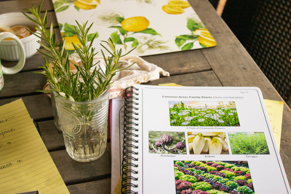 Fall Garden Classes - Thursdays