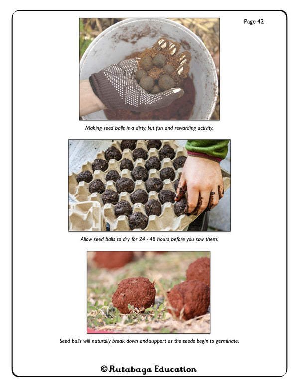 Images from the book that help illustrate how to make wildflower seed balls using clay and seeds.