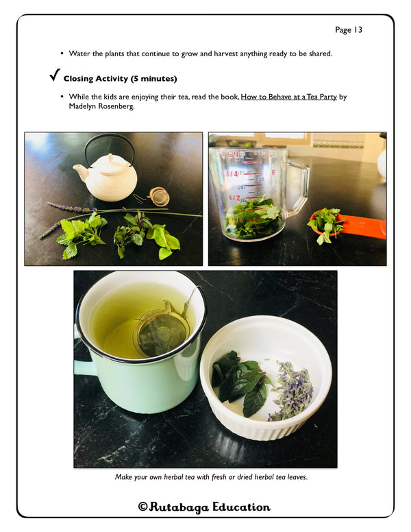 Photos that show making herbal tea using fresh herbs.