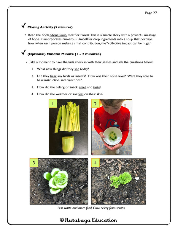 Some text and photos that show how you can grow a celery plant from the scraps of store bought celery.