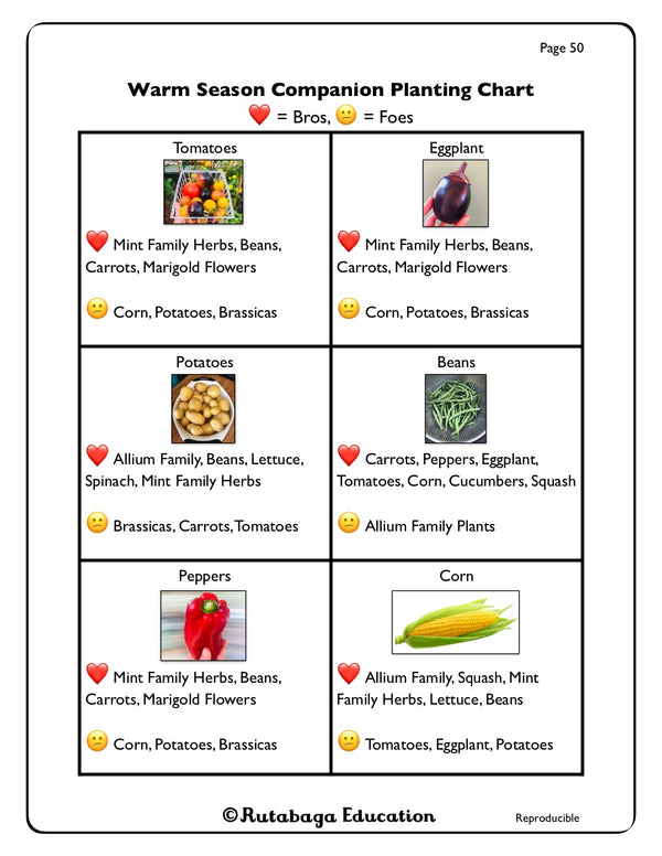 A graph that shows what warm season crops can be companion planted.