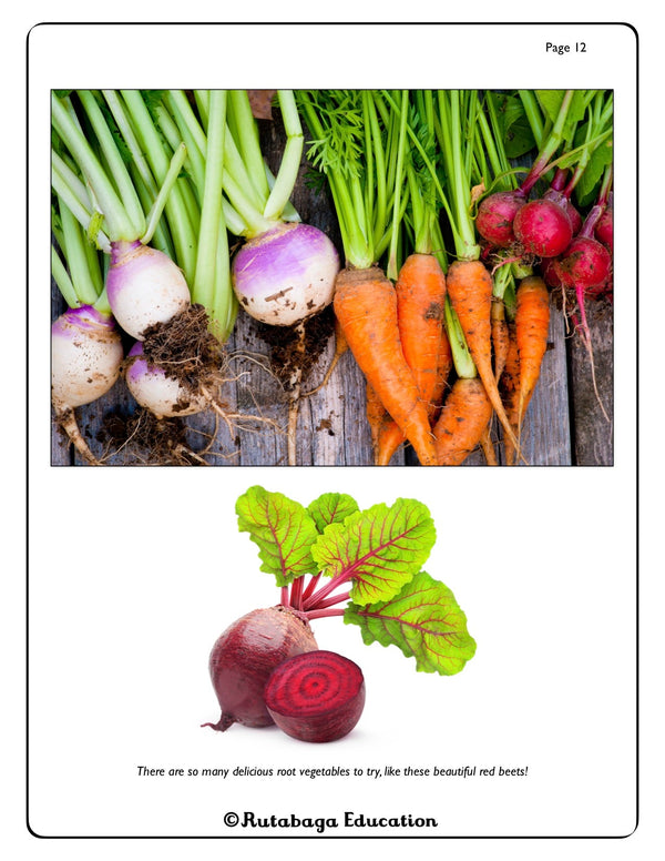 One picture that shows root vegetables including turnips, carrots, and radishes. The lower photo shows a whole beet and one cut in half.