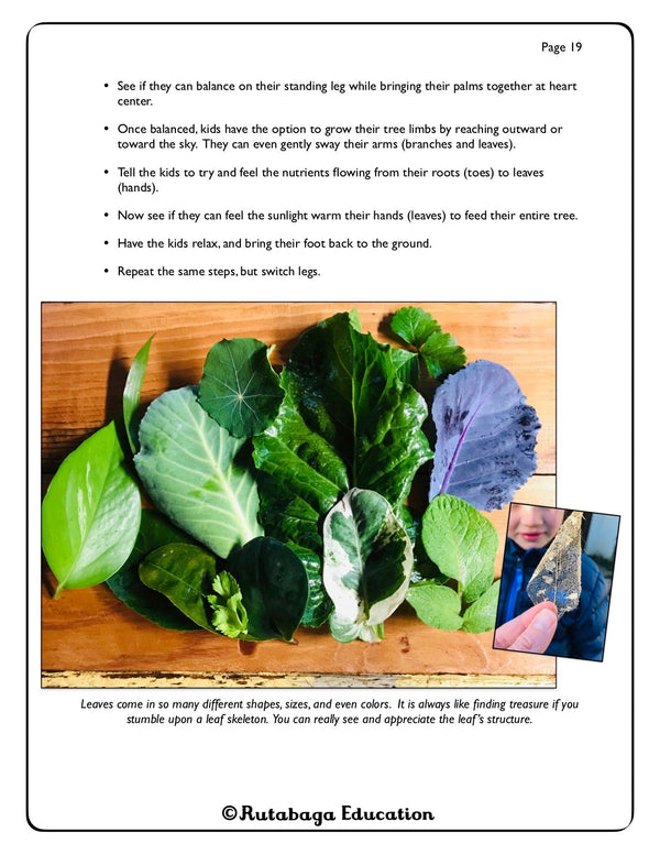 Some text and then a photo that shows various sizes and colors of leaves.