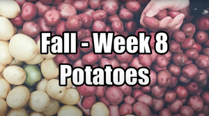 A large collection of beige and red potatoes.