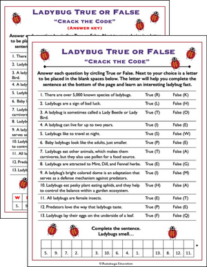 Ladybug fact or fiction worksheet.
