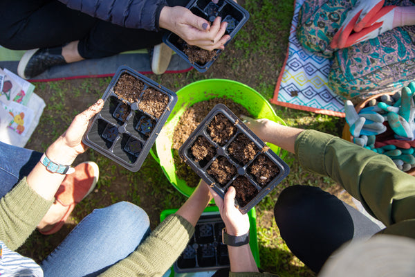 Spring Garden Classes - Thursdays