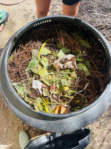 Master Composter Program Top Weekly Takeaways - Week 2