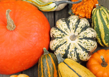 Pumpkin Growing 101: Tips and Tricks for a Bountiful Harvest