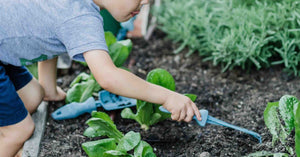 How Gardening Supports Child Development