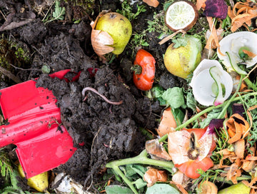 A collection of food scraps to be put in a composter.