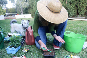 Kaitlin Mitchell planting seeds into seedling pots.