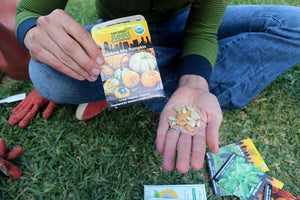 A close up shot of a one hand holding pumpkin seeds and the other hand holding a seed packet.