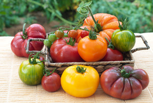 A basket full of a variety of different types of tomatoes.